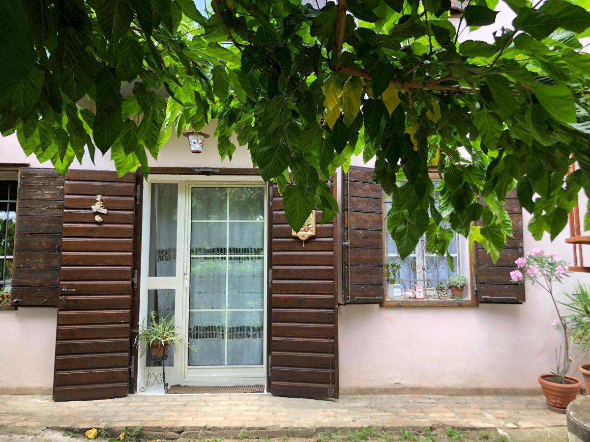 La Casa Nel Bosco Bed and Breakfast Gorizia Buitenkant foto